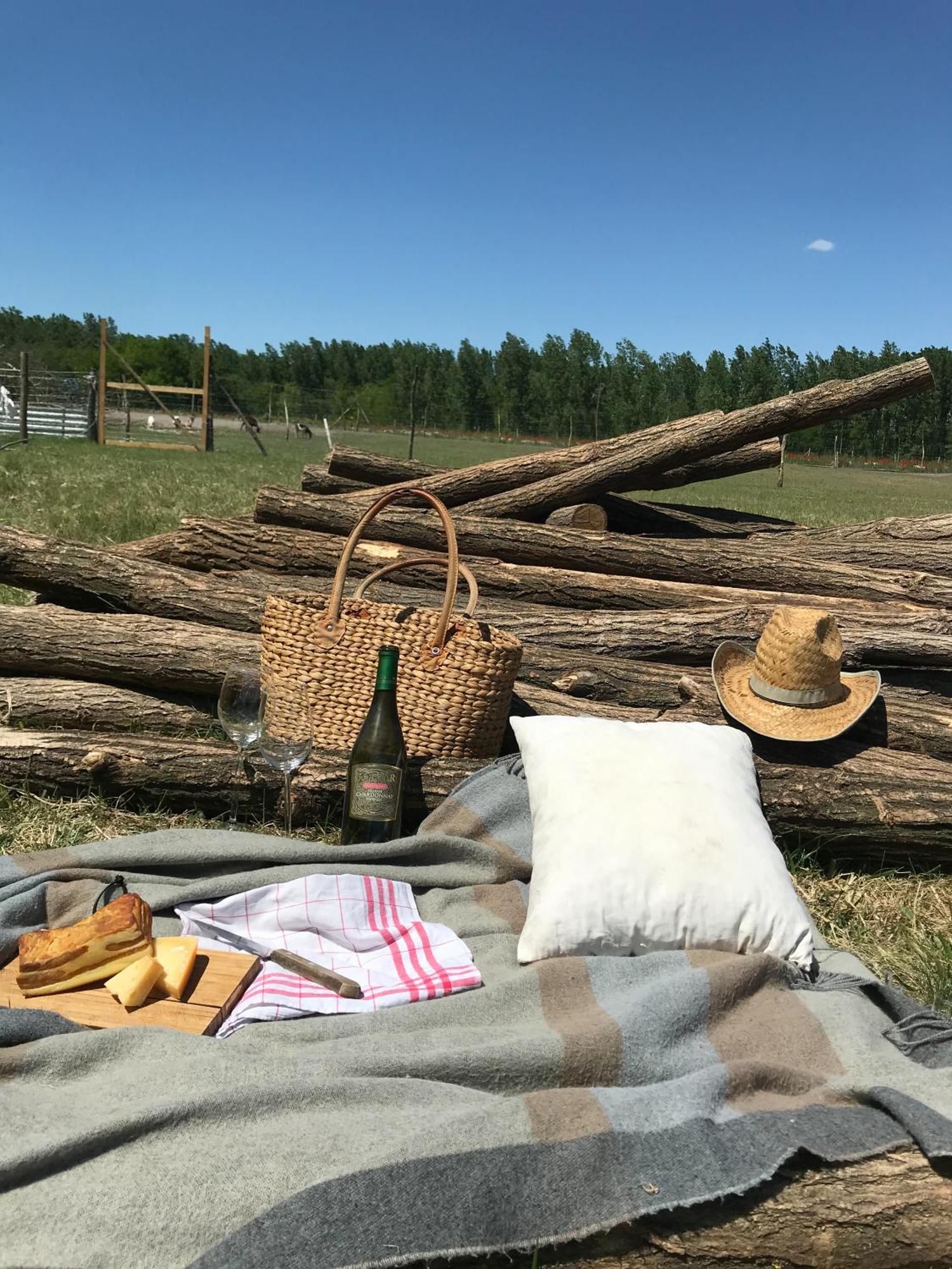 Tornacos Tanya Vendeghaz*** Es Gasztroporta Aparthotel Kiskunmajsa Buitenkant foto